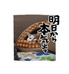 BIG_LOVE（個別スタンプ：8）