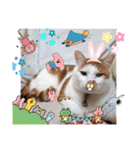 BIG_LOVE（個別スタンプ：16）