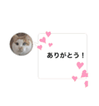 BIG_LOVE（個別スタンプ：17）