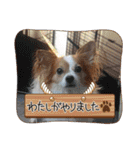 BIG_LOVE（個別スタンプ：20）