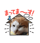 BIG_LOVE（個別スタンプ：22）