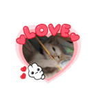 BIG_LOVE（個別スタンプ：33）