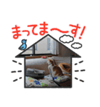BIG_LOVE（個別スタンプ：35）