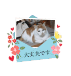 BIG_LOVE（個別スタンプ：37）