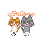 わらびん家の2匹のねこ・日常会話・関西弁（個別スタンプ：4）