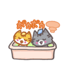 わらびん家の2匹のねこ・日常会話・関西弁（個別スタンプ：20）