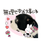 Latteのスタンプ2（個別スタンプ：7）
