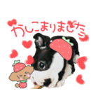 Latteのスタンプ2（個別スタンプ：9）