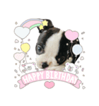 Latteのスタンプ2（個別スタンプ：14）
