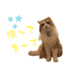 にゃんこ哲太の仲間たち2（個別スタンプ：8）