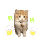 にゃんこ哲太の仲間たち2（個別スタンプ：29）