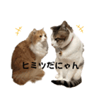 にゃんこ哲太の仲間たち2（個別スタンプ：37）