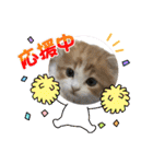 にゃんこ哲太の仲間たち2（個別スタンプ：38）