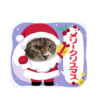 にゃんこ哲太の仲間たち2（個別スタンプ：39）