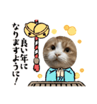 にゃんこ哲太の仲間たち2（個別スタンプ：40）
