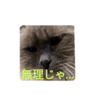 闇しらすたんぷ（個別スタンプ：1）