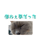 闇しらすたんぷ（個別スタンプ：7）
