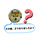 豆柴吹き出し（お仕事編）（個別スタンプ：6）
