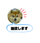 豆柴吹き出し（お仕事編）（個別スタンプ：7）
