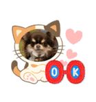 春の訪れ♡（個別スタンプ：16）