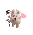 ELLEと時々Cookie（個別スタンプ：4）