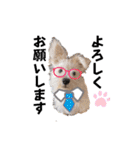 ELLEと時々Cookie（個別スタンプ：19）