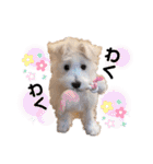 ELLEと時々Cookie（個別スタンプ：23）