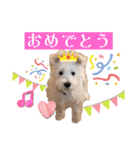 ELLEと時々Cookie（個別スタンプ：26）