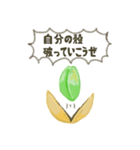 ピ！ピスタチオ（個別スタンプ：31）