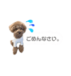 こあくんだよ❤️（個別スタンプ：2）