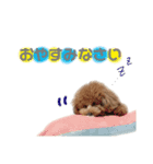 こあくんだよ❤️（個別スタンプ：5）