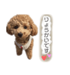 こあくんだよ❤️（個別スタンプ：6）