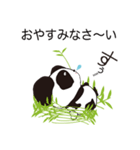 元気 で キュート な パンダくん（個別スタンプ：5）