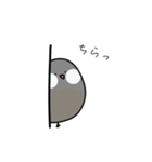 ゆるい文鳥（個別スタンプ：2）