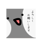 ゆるい文鳥（個別スタンプ：9）