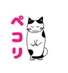 大人が日常使える猫の日スタンプまーにゃん（個別スタンプ：14）