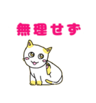 大人が日常使える猫の日スタンプまーにゃん（個別スタンプ：25）