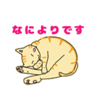 大人が日常使える猫の日スタンプまーにゃん（個別スタンプ：30）