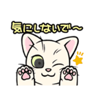 うちの猫(コ)みっけ！（個別スタンプ：12）