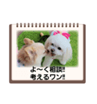 LUNA＆SEA！！人生いろいろ！！（個別スタンプ：2）