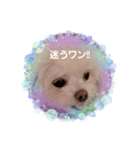 LUNA＆SEA！！人生いろいろ！！（個別スタンプ：3）