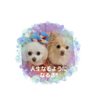LUNA＆SEA！！人生いろいろ！！（個別スタンプ：4）