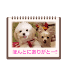 LUNA＆SEA！！人生いろいろ！！（個別スタンプ：5）