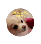 LUNA＆SEA！！人生いろいろ！！（個別スタンプ：6）