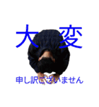 56代軽音楽部（個別スタンプ：17）