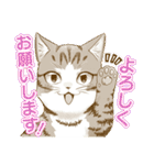 我輩は猫魔導師である（個別スタンプ：11）