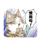 我輩は猫魔導師である（個別スタンプ：38）