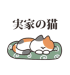 猫とうさちゃん（個別スタンプ：21）