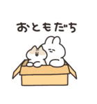 猫とうさちゃん（個別スタンプ：24）