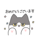 ハチワレねこさんスタンプ（個別スタンプ：20）